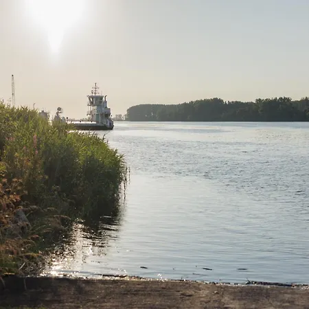 L'esplanade Restaurant Bar A Vin Hotel Le Pellerin